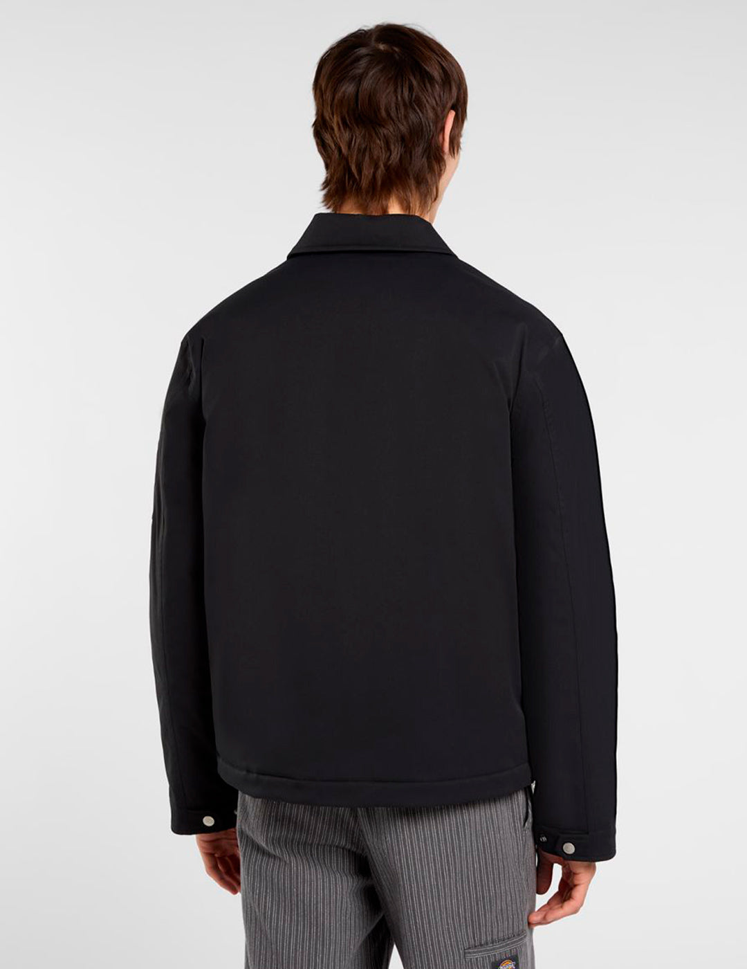 Cazadora DICKIES EISENHOWER - Black