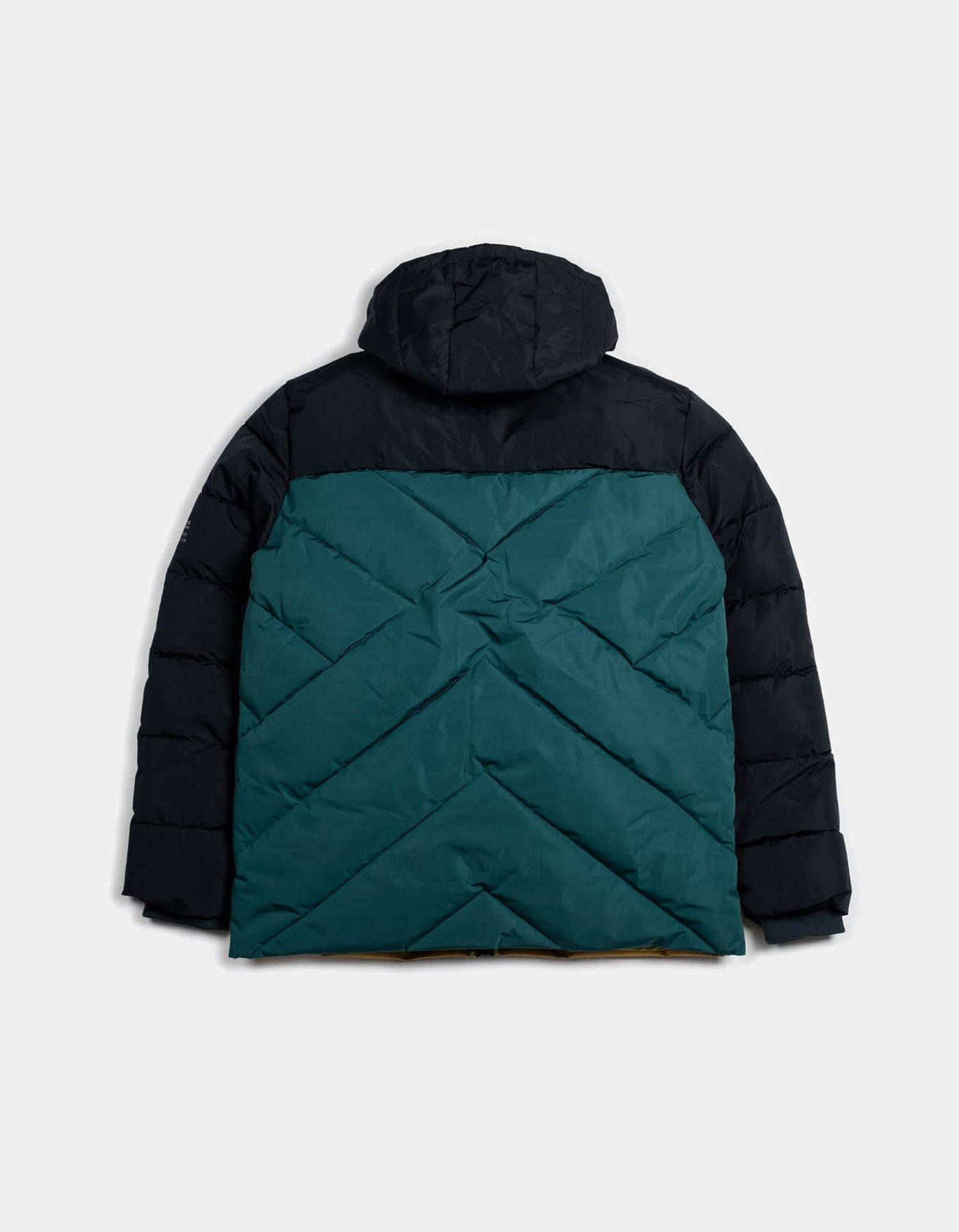 Cazadora MUNICH PUFFER CLOUD - Multicolor Mustard