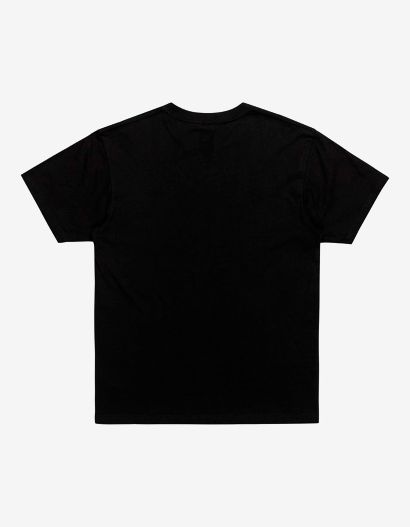 Camiseta DC SHOES HUES - Black