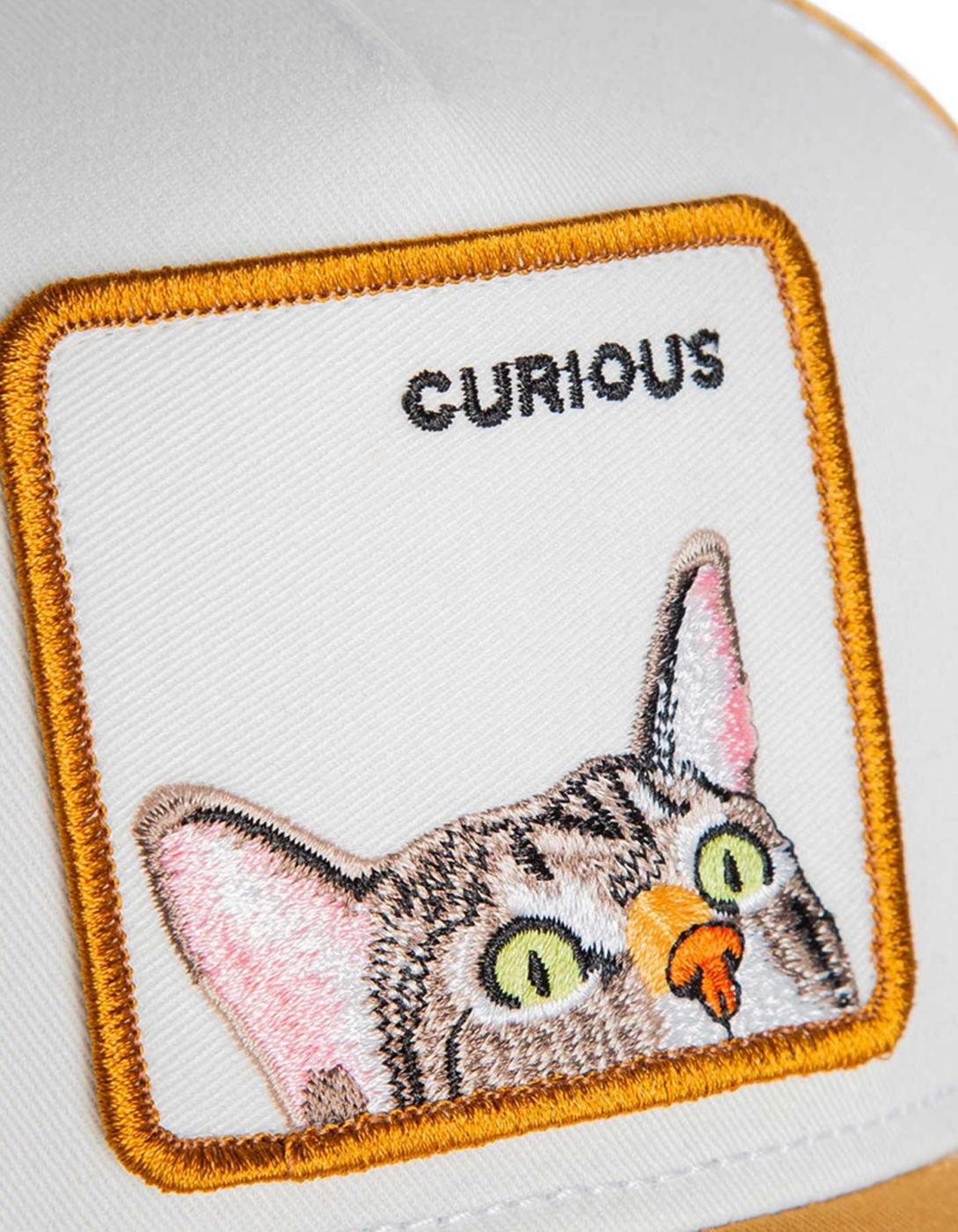 Gorra GOORIN BROS CURIOUS CAT MINI - Amber