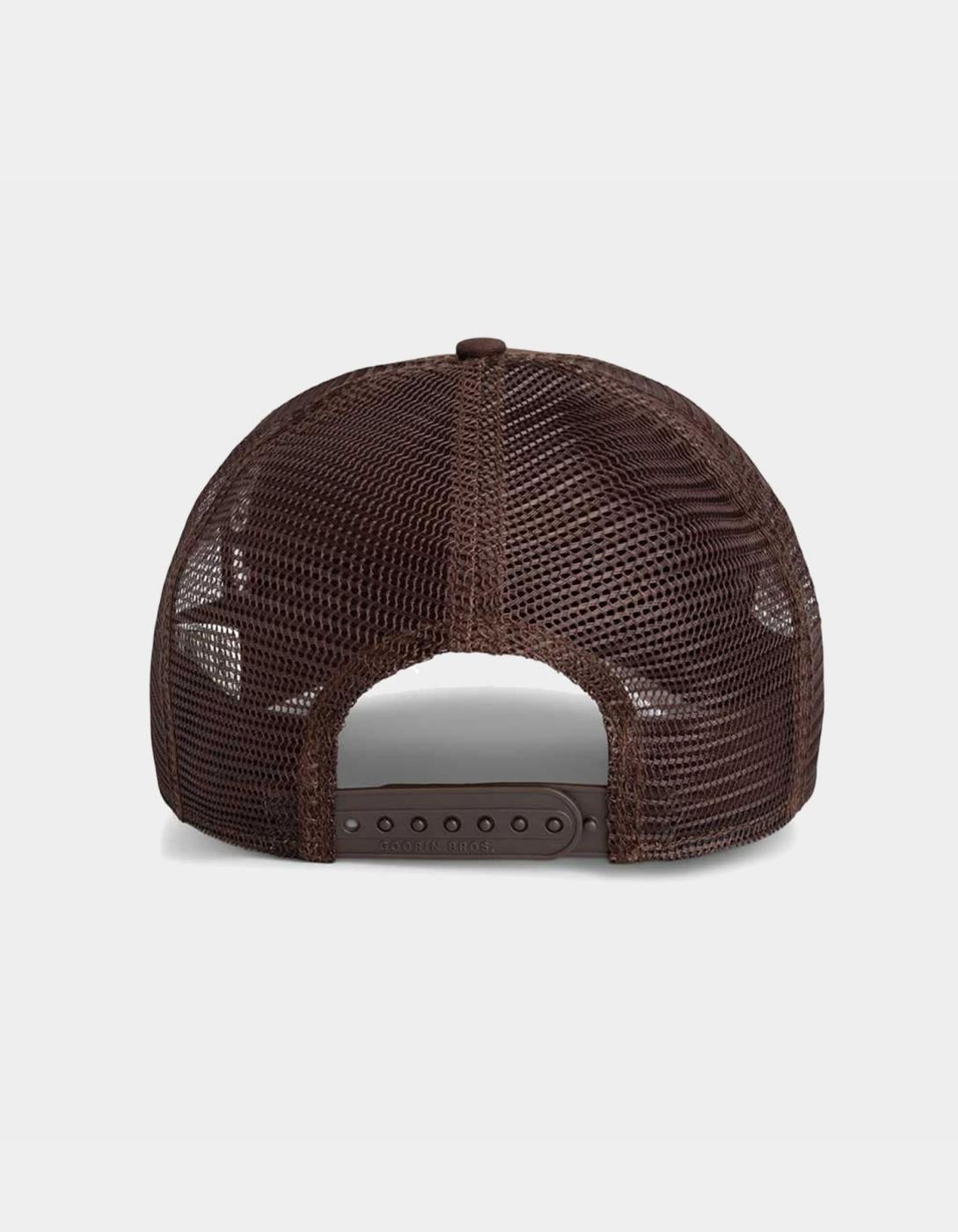 Gorra GOORIN BROS THE CANCELLED SKULL - Ground
