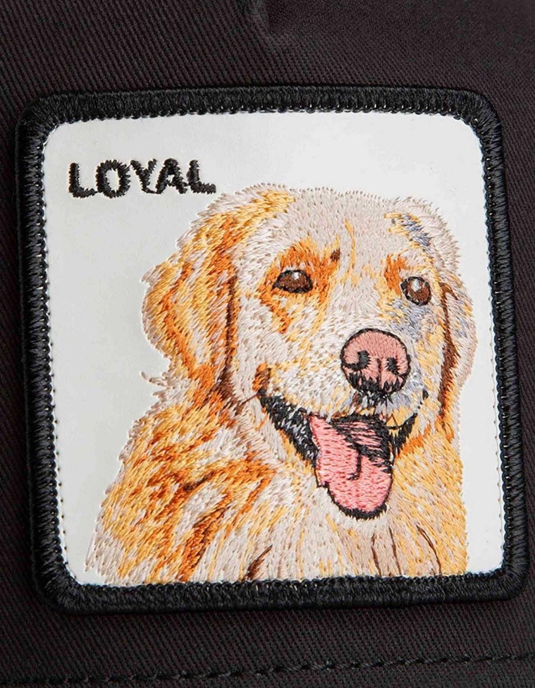 Gorra GOORIN BROS THE LOYAL DOG - Void/Shade
