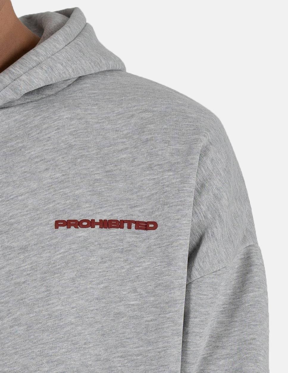 Sudadera Capucha PROHIBITED 10119 - Grey Melange