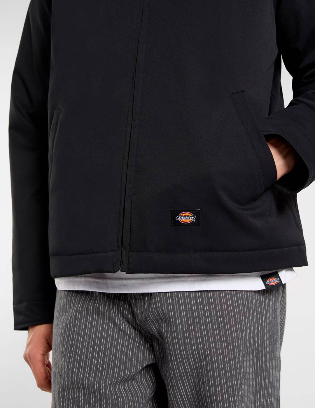 Cazadora DICKIES EISENHOWER  - Black