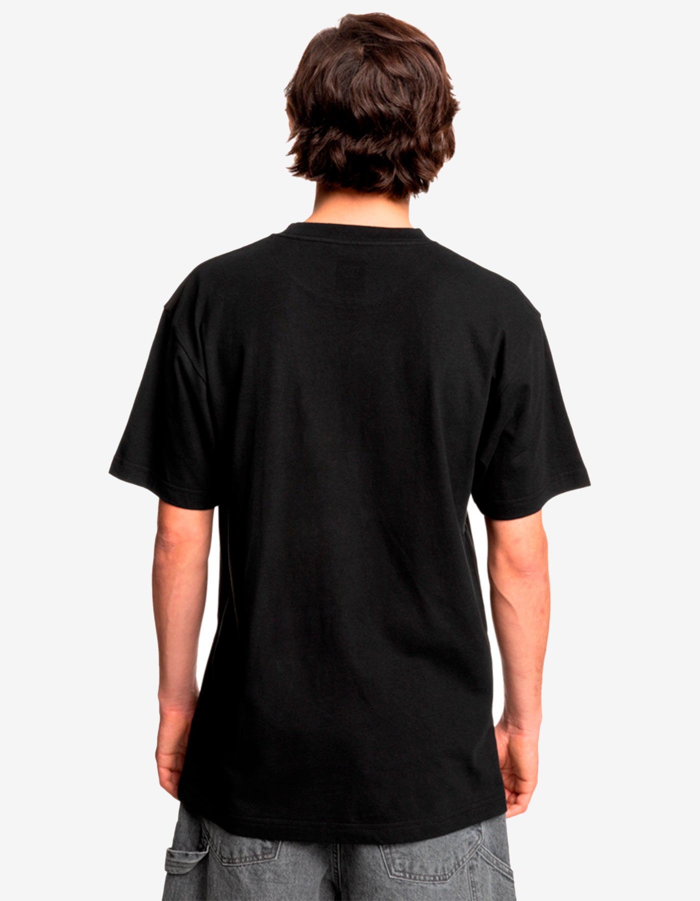 Camiseta DC SHOES HUES - Black