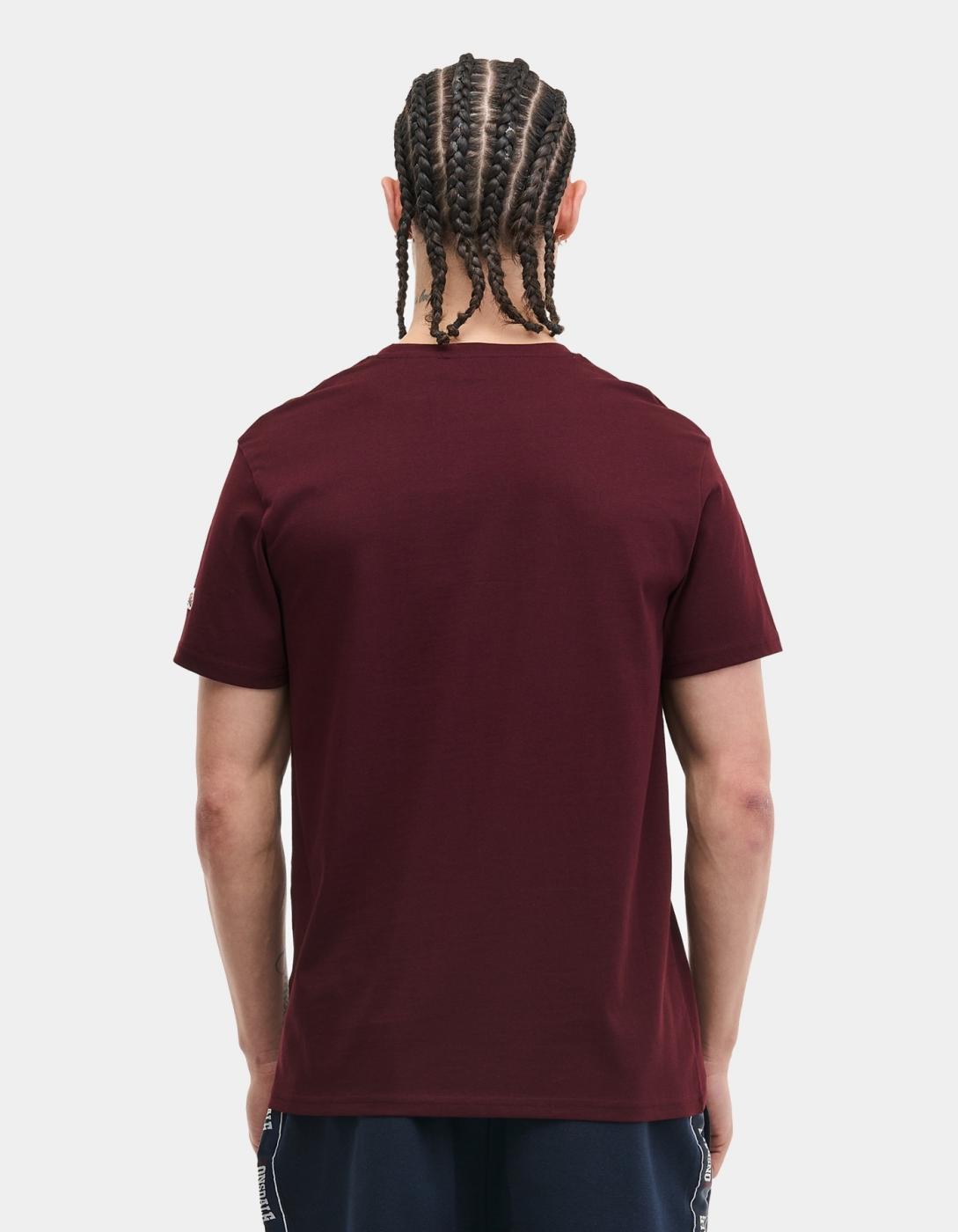Camiseta LION TWO TONE - Oxblood/Navy/White