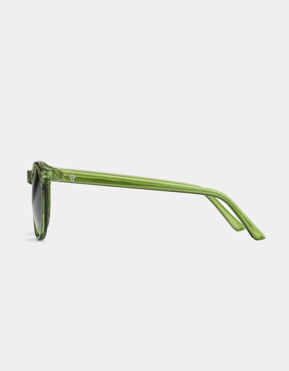 Gafas CHPO ANCHOR POINT - Green