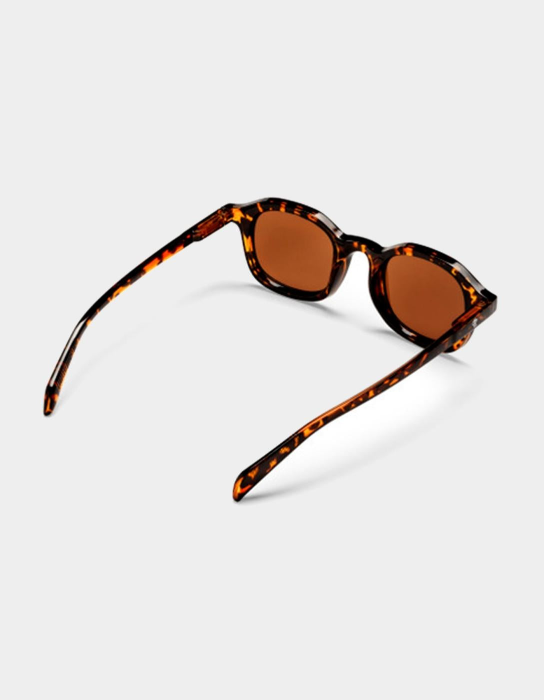 Gafas CHPO ANKI - Turtle Brown/Brown