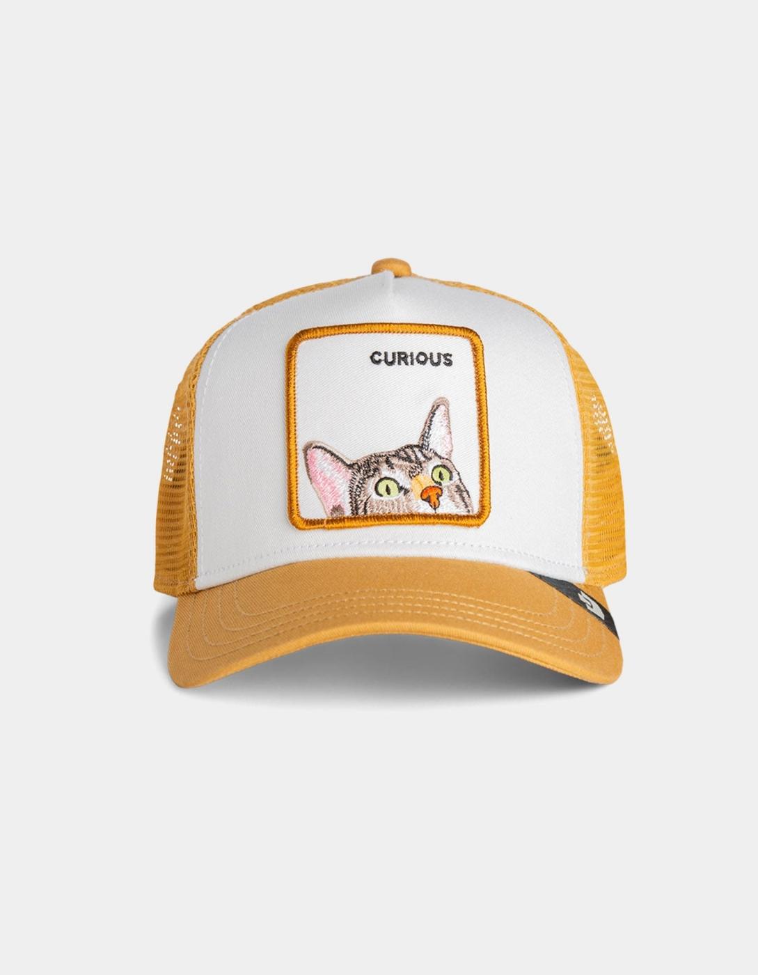 Gorra GOORIN BROS CURIOUS CAT MINI - Amber