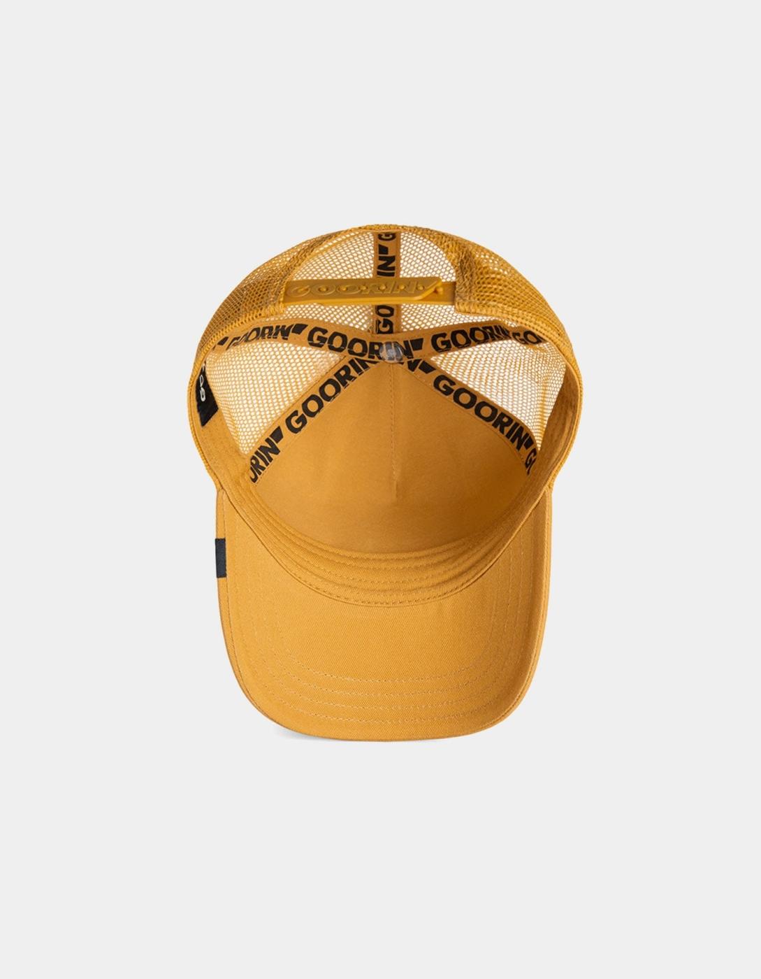 Gorra GOORIN BROS CURIOUS CAT MINI - Amber