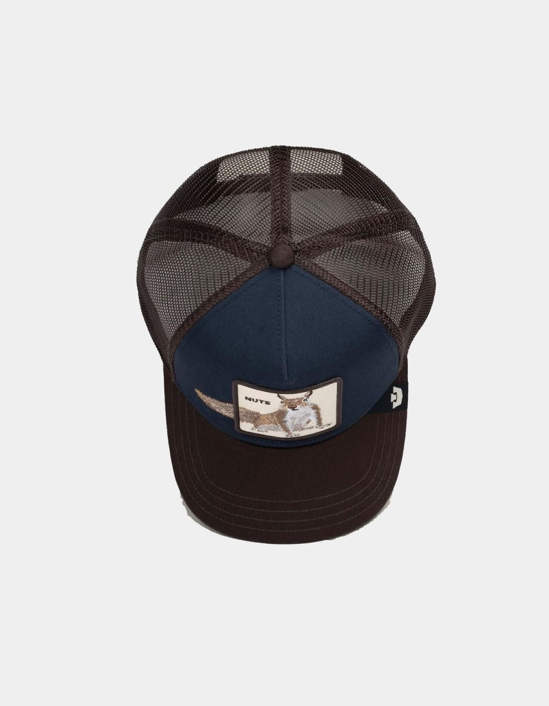 Gorra OVER THE LINE SQUIRREL - Ground