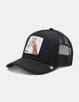 Gorra GOORIN BROS THE GIRAFFE - Black