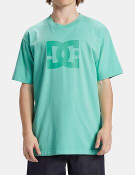 Camiseta DC STAR PIGMENT DYE - Biscay Green Enzime