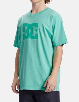 Camiseta DC STAR PIGMENT DYE - Biscay Green Enzime