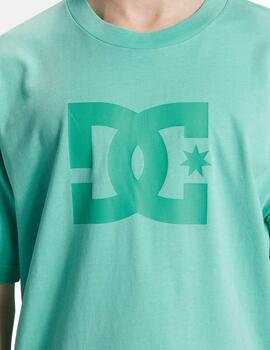 Camiseta DC STAR PIGMENT DYE - Biscay Green Enzime