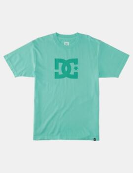 Camiseta DC STAR PIGMENT DYE - Biscay Green Enzime