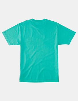 Camiseta DC STAR PIGMENT DYE - Biscay Green Enzime