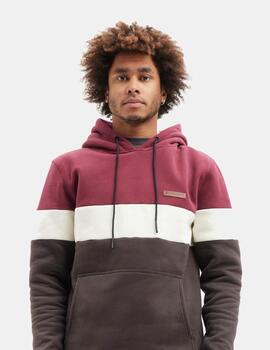 Sudadera HYDROPONIC Capucha HARLEM - Anemone / White / Charc