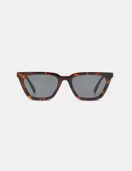 Gafas HYDROPONIC EW CEDAR -  Tortoise   Black