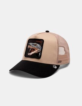 Gorra GOORIN BROS THE VICIOUS SNAKE - Beige