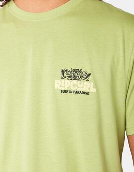 Camiseta RIP CURL SURF PARADISE F&B - Light Khaki