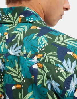 Camisa HYDROPONIC TUCAN - Green